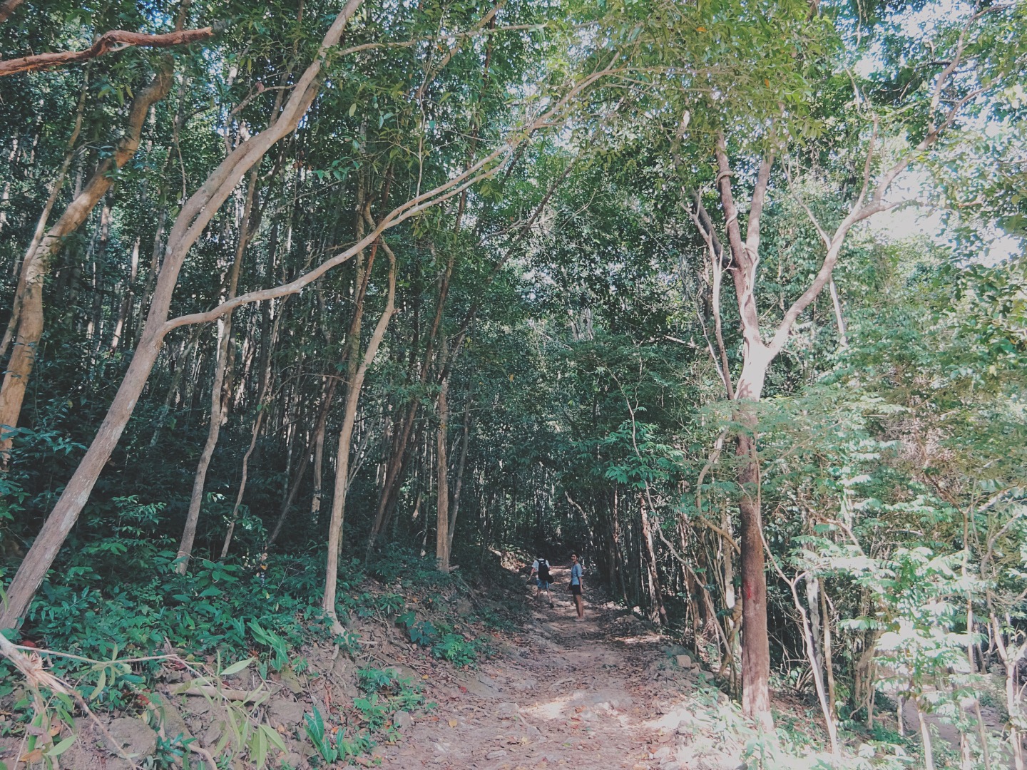 Processed with VSCOcam with hb2 preset
