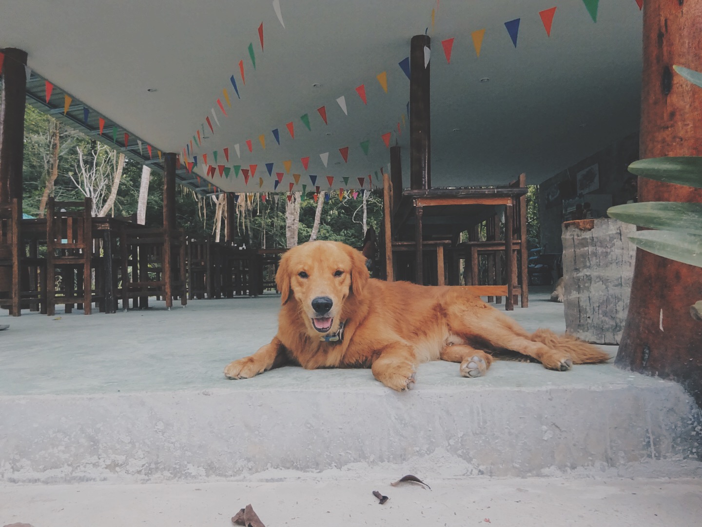 Processed with VSCOcam with hb2 preset