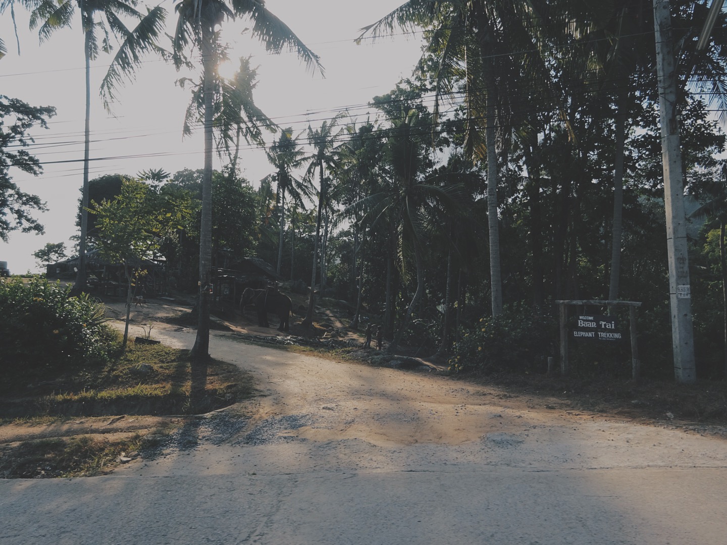 Processed with VSCOcam with hb2 preset
