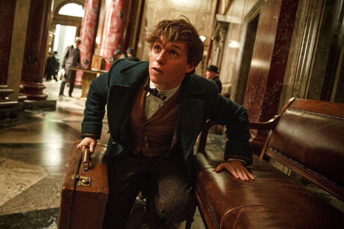 รีวิว Fantastic Beasts and Where to Find Them: สัตว์มหัศจรรย์และถิ่นที่อยู่ – KWANMANIE
